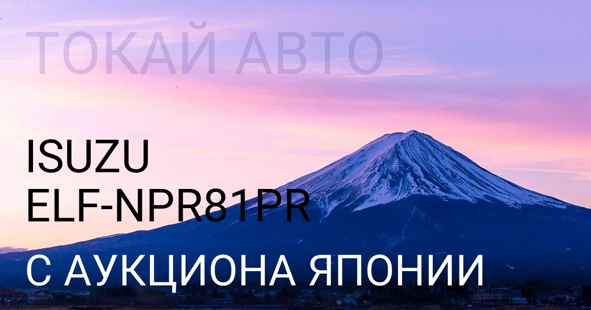 Isuzu ELF кузов NPR81PR с аукциона Японии
